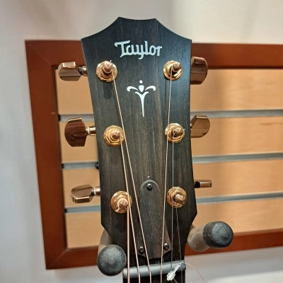 Taylor Guitars - 724CE 3